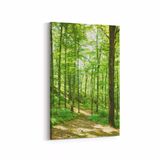 Olla 13850D Doğa Manzara Görseli Dikey 20x30 cm Kanvas Tablo
