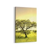 Olla 13888D Doğa Manzara Görseli Dikey 20x30 cm Kanvas Tablo