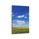 Olla 13965D Doğa Manzara Görseli Dikey 20x30 cm Kanvas Tablo