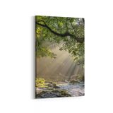 Olla 14139D Doğa Manzara Görseli Dikey 20x30 cm Kanvas Tablo