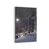 Olla 14217D Doğa Manzara Görseli Dikey 20x30 cm Kanvas Tablo