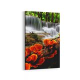 Olla 14367D Doğa Manzara Görseli Dikey 20x30 cm Kanvas Tablo