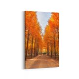 Olla 14487D Doğa Manzara Görseli Dikey 20x30 cm Kanvas Tablo
