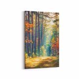Olla 14508D Doğa Manzara Görseli Dikey 20x30 cm Kanvas Tablo
