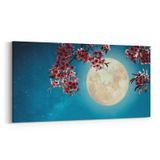 Olla 14636YD Gece Gökyüzü Görseli Yatay Dar 60x30 cm Kanvas Tablo