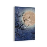 Olla 14638D Gece Gökyüzü Görseli Dikey 20x30 cm Kanvas Tablo
