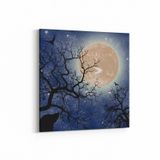 Olla 14639K Gece Gökyüzü Görseli Kare 25x25 cm Kanvas Tablo
