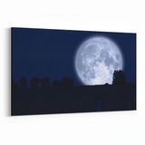 Olla 14669Y Gece Gökyüzü Görseli Yatay 30x20 cm Kanvas Tablo