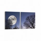 Olla 14673K2Y Gece Gökyüzü Görseli Kare 2 Parça Yatay 65x30 cm Kanvas Tablo