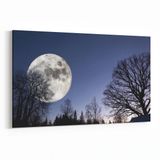 Olla 14673Y Gece Gökyüzü Görseli Yatay 30x20 cm Kanvas Tablo