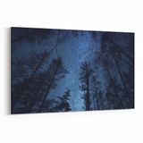 Olla 14678Y Gece Gökyüzü Görseli Yatay 30x20 cm Kanvas Tablo