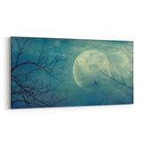 Olla 14707YD Gece Gökyüzü Görseli Yatay Dar 60x30 cm Kanvas Tablo