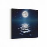 Olla 14734K Gece Gökyüzü Görseli Kare 25x25 cm Kanvas Tablo