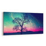 Olla 14736YD Gece Gökyüzü Görseli Yatay Dar 60x30 cm Kanvas Tablo