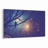 Olla 14738Y Gece Gökyüzü Görseli Yatay 30x20 cm Kanvas Tablo