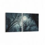 Olla 14749K2Y Gece Gökyüzü Görseli Kare 2 Parça Yatay 65x30 cm Kanvas Tablo