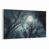 Olla 14749Y Gece Gökyüzü Görseli Yatay 30x20 cm Kanvas Tablo