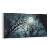Olla 14749YD Gece Gökyüzü Görseli Yatay Dar 60x30 cm Kanvas Tablo