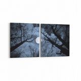 Olla 14769K2Y Gece Gökyüzü Görseli Kare 2 Parça Yatay 65x30 cm Kanvas Tablo