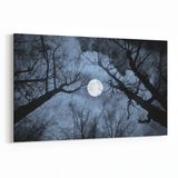 Olla 14769Y Gece Gökyüzü Görseli Yatay 30x20 cm Kanvas Tablo