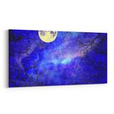 Olla 14790YD Gece Gökyüzü Görseli Yatay Dar 60x30 cm Kanvas Tablo