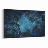 Olla 14798Y Gece Gökyüzü Görseli Yatay 30x20 cm Kanvas Tablo