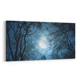 Olla 14817YD Gece Gökyüzü Görseli Yatay Dar 60x30 cm Kanvas Tablo
