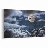 Olla 14828Y Gece Gökyüzü Görseli Yatay 30x20 cm Kanvas Tablo