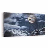 Olla 14828YD Gece Gökyüzü Görseli Yatay Dar 60x30 cm Kanvas Tablo