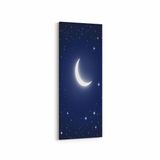 Olla 14829DI Gece Gökyüzü Görseli Dikey İnce 30x90 cm Kanvas Tablo
