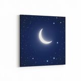 Olla 14829K Gece Gökyüzü Görseli Kare 25x25 cm Kanvas Tablo