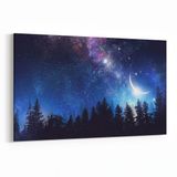Olla 14842Y Gece Gökyüzü Görseli Yatay 30x20 cm Kanvas Tablo