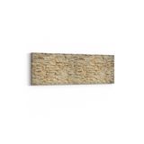 Olla 17426YI Taş/Tuğla Görseli Yatay İnce Kanvas Tablo, Ölçü 120X40
