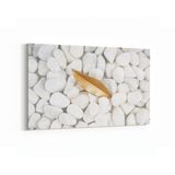 Olla 17512Y Taş/Tuğla Görseli Yatay Kanvas Tablo, Ölçü 30X20