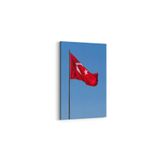 Olla 17534D Türk Bayrağı Görseli Dikey Kanvas Tablo, Ölçü 30X45