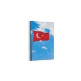 Olla 17581D Türk Bayrağı Görseli Dikey Kanvas Tablo, Ölçü 20X30