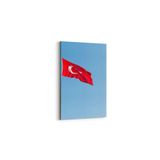 Olla 17587D Türk Bayrağı Görseli Dikey Kanvas Tablo, Ölçü 20X30