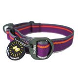 OllyDog Martingale Mesa, Yansıtıcı Ağlı Köpekler için Sınırlı Cinch Kaydırmalı Martingale Tasması, Tokasız, Yavru Köpek Tasması, Evcil Hayvan Malzemeleri (Küçük, Vahşi Aster)