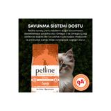 Omega 3&6 Deposu, Glukosaminli, Probiyotikli Yavru Kedi Maması 10kg - Lovely