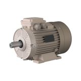 Omega Motor 0.55 Kw, 1500 Devir, B3 Ayaklı