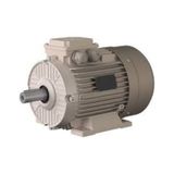 Omega Motor 0.75 Kw, 1500 Devir, B3 Ayaklı