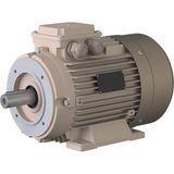 Omega Motor 3 Kw, 3000 Devir, B34 Ayaklı Flanşlı