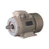Omega Motor 5,5 Kw, 3000 Devir, B34 Ayaklı Flanşlı
