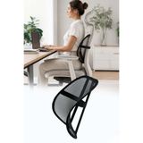 omilife Ortopedik Bel Destek Yastığı Ofis Sandalyesi Bel Desteği Ergonomik Fileli Terletmeyen Kamburluk önle