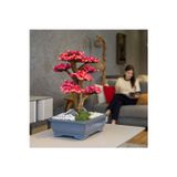 Omnia Concept Atlas Bonsai-2-1 Masaüstü Kullanıma Uygun Doğal Ağaç Gövdeli Yapay Bonsai Ağacı - 50X60 Cm
