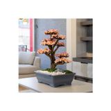 Omnia Concept Atlas Bonsai-2 Masaüstü Kullanıma Uygun Doğal Ağaç Gövdeli Yapay Bonsai Ağacı - 50X60 Cm