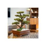 Omnia Concept Atlas Bonsai-4 Masaüstü Kullanıma Uygun Doğal Ağaç Gövdeli Yapay Bonsai Ağacı - 50X60 Cm