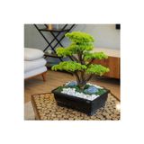 Omnia Concept Atlas Bonsai-6 Masaüstü Kullanıma Uygun Doğal Ağaç Gövdeli Yapay Bonsai Ağacı - 50X60 Cm