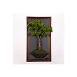 Omnia Concept Bonsai Tablaeu - 3C - Mdf Plaka Üzerinde Çerçeveli 3 Boyutlu Yapay Ağaç Tablosu 33X60 Cm