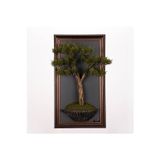 Omnia Concept Bonsai Tablaeu - 4D - Mdf Plaka Üzerinde Çerçeveli 3 Boyutlu Yapay Ağaç Tablosu 33X60 Cm